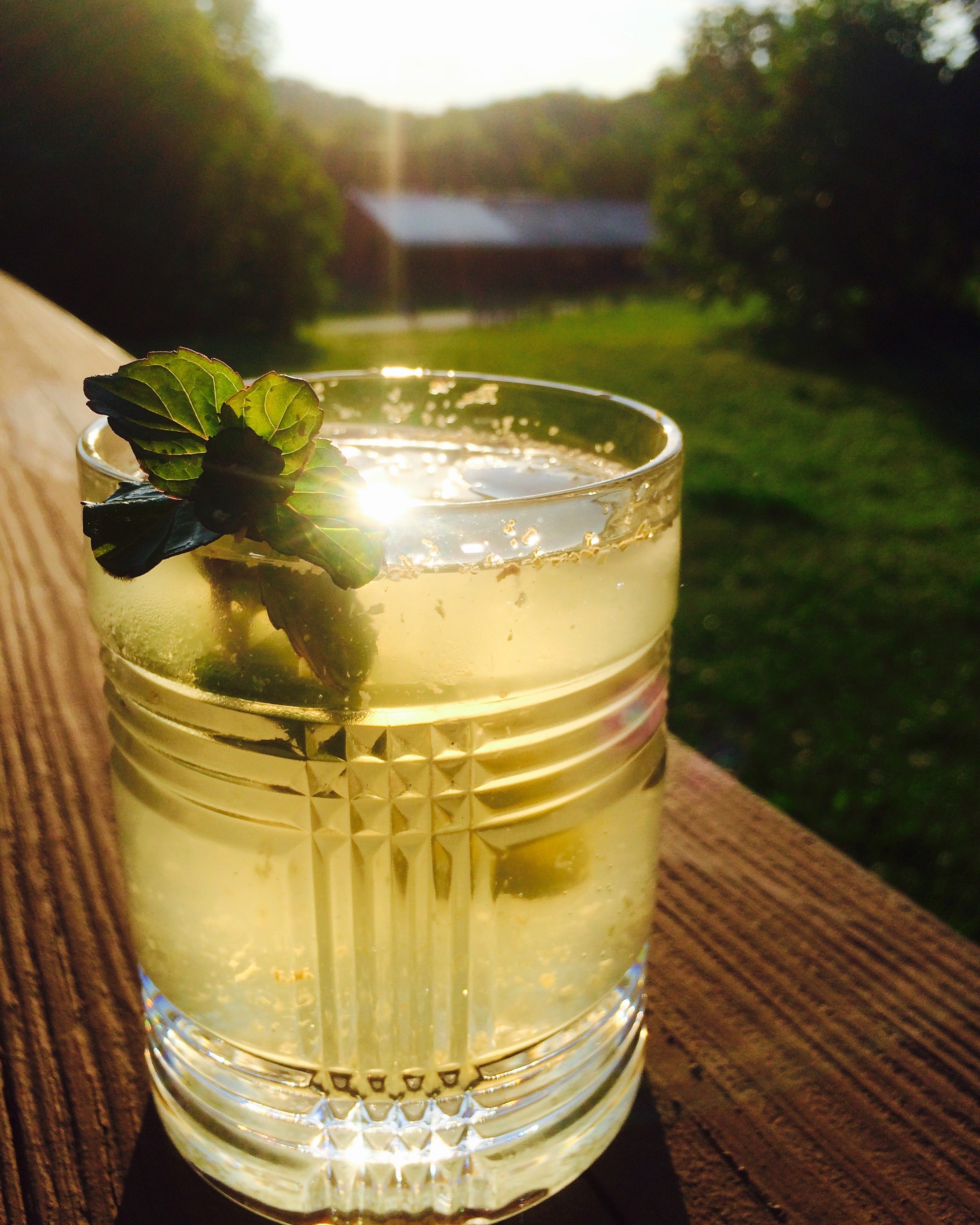 Haymakers Punch (aka Switchel) Baird Farm Maple Syrup