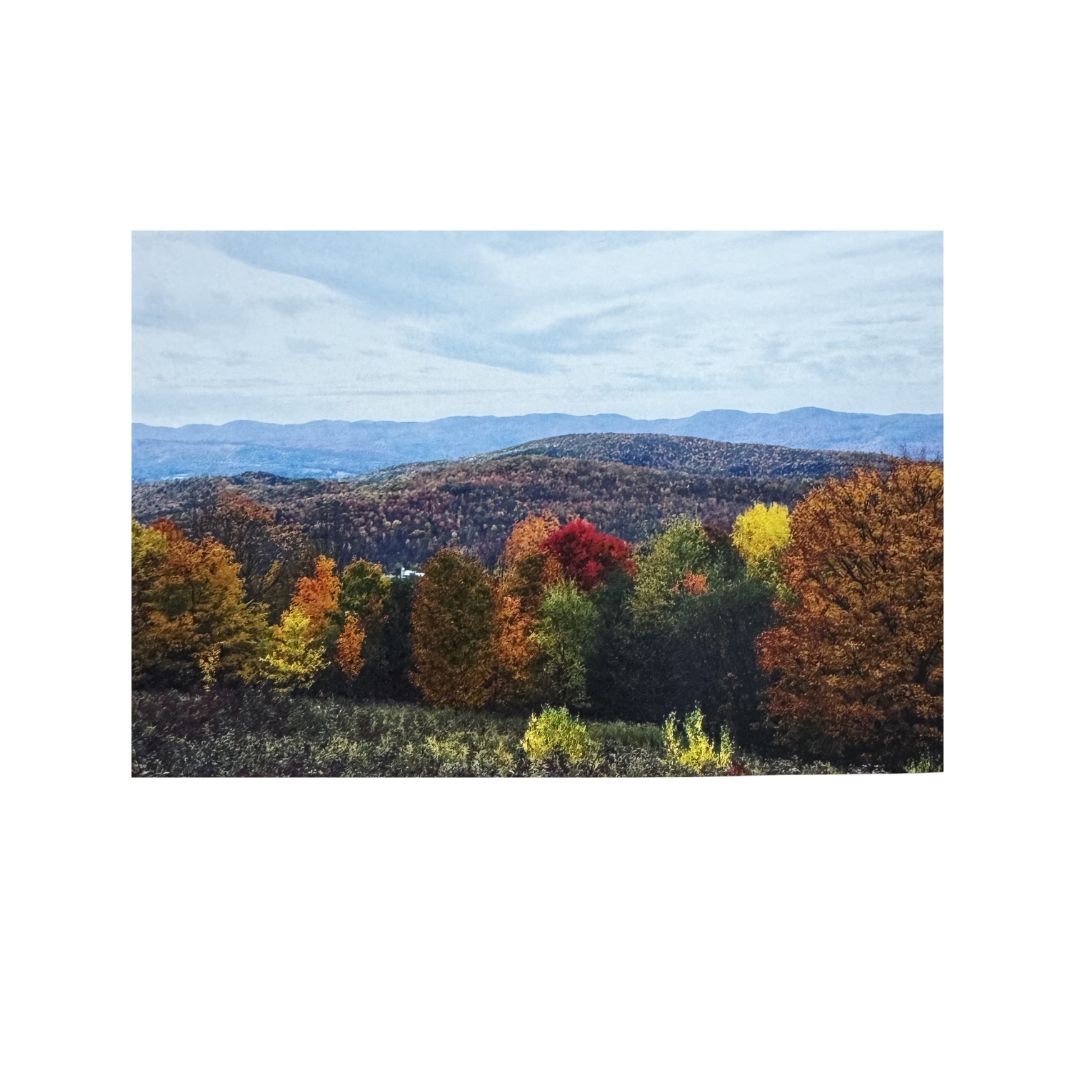 Foliage Postcard